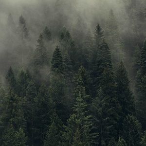 Meet your Posher, Jesse